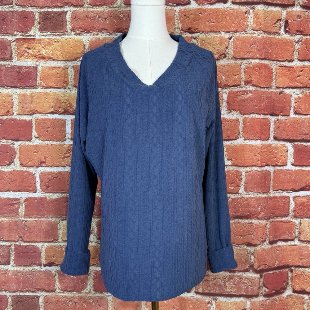 Trinity Women's Crytal Gray V-Neck Knit Sweater Size L NEW NWT Comfort Cozy Fall